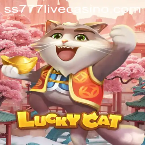 Discovering LuckyCat: A Game of Fortune and Adventure